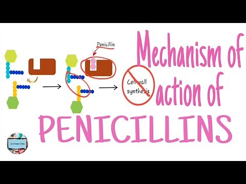 Mechanism of action of penicillins/ bacterial resistance against penicillins/ penicillin