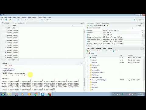 HOW TO FIND THE OPTIMAL LAG IN R SOFTWARE