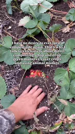 Beccalynne | Gardener + Writer on Instagram: "I’m removing the middle man. I’m still actively managing my soil. I’m just doing it where the work actually happens. In the bed. In real time. Where microbes, roots, fungi, and worms already exist and can do their job without me babysitting a pile. I stand firm in this belief. Most backyard gardeners are not producing enough material to justify a three bay compost system on their own. Those systems almost always rely on bringing in outside inputs. Ba
