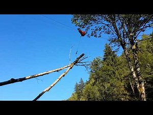 skyline logging / choker men at work