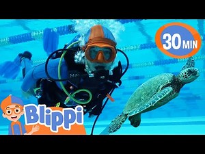 Dive Deep with Blippi! 🤿 Explore the Ocean🌊🐠 | Educational Videos For Kids