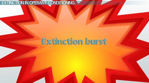 Extinction in Psychology | Definition, Factors & Examples