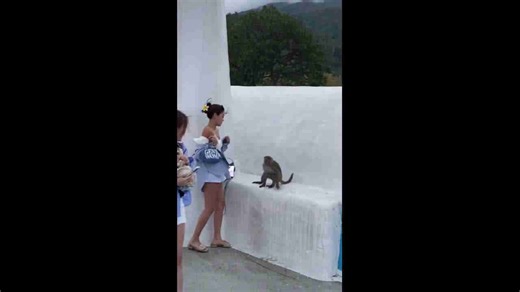 Monkey attacks women during photo session in Da Nang, Vietnam