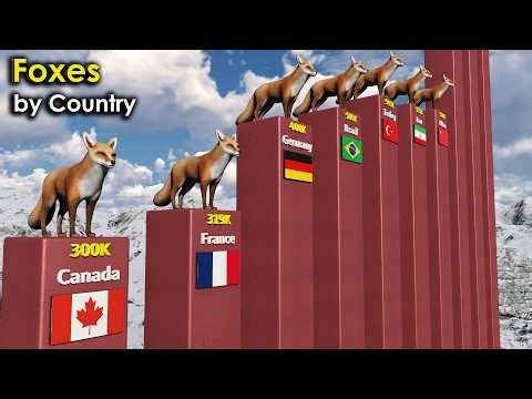 Top Countries with the Most Foxes | 3D Comparison