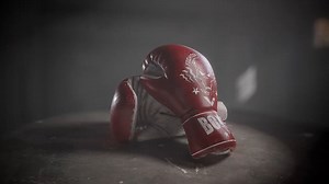 Boxing Gloves Animation