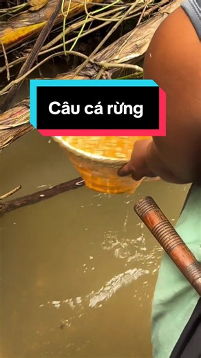 Câu cá mùa này mới gọi là chiu chứ lặn là thương cậu nho lắm ạ #taybac #casuoi