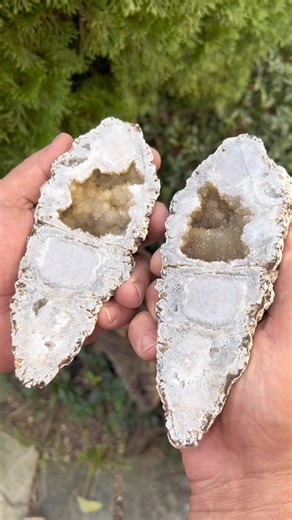 59K views · 4.6K reactions | Amazing find while geode hunting #rockhounding #keokuk #geodes #fossils #geode #rockhound #rocksarecool #iloverocks #fossilfind #whatisthisrock #rocksofinstagram #fossilsofinstagram | RockHunter Mark | Facebook