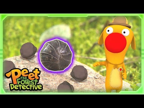 Catch the Booger Burglar! | Full Episode | Cartoons for Kids | Peet The Forest Detective