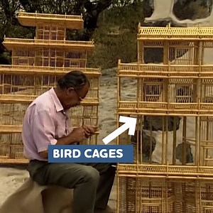 Bird cages transformed into art with canes. | Eugenio Monesma Documentaries