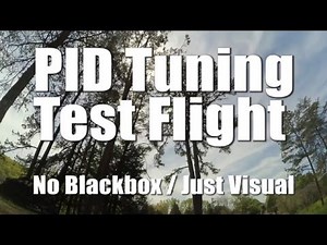 PID Tuning Test Flight - No Blackbox / Just Visual
