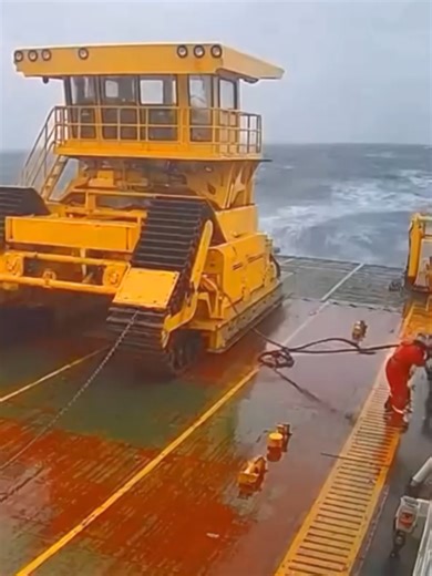 Exploring Ocean Life: Insights from Ship Life