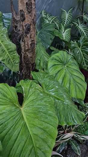 3.4K views · 53 reactions | Water therapy.. | Simply David & Jen | Facebook