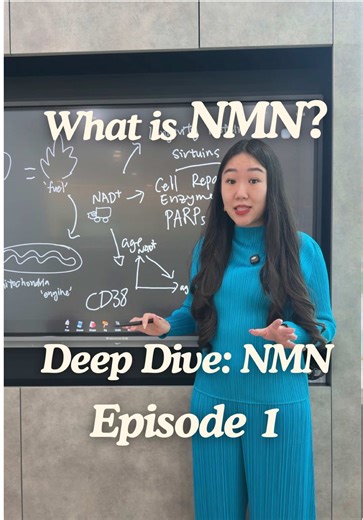 Understanding NMN: What is Nicotinamide Mononucleotide?