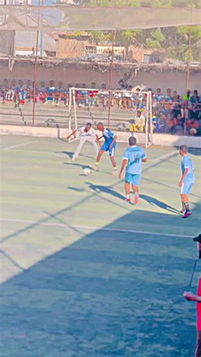 Goal or No Goal? Analyzing the Controversial Moment