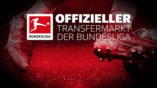 Offizieller Transfermarkt: Alle Winterwechsel 2021/22