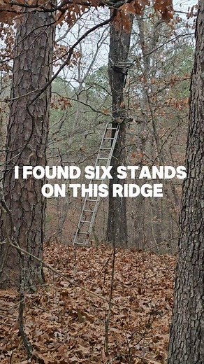 864K views · 3.7K reactions | Using a topo can pay off big time! It can be frustrating to find stands on public land, but look at it this way: its a good sign to see old stands on Ridge tops. It confirms your digital scouting. There has probably been many deer taken out of it. #topography #map #hunting #whitetail | The Battle Branch Boys | Facebook