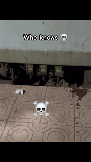 LHB coaches brakes indicator turns red to green in release or when train starts departure #train