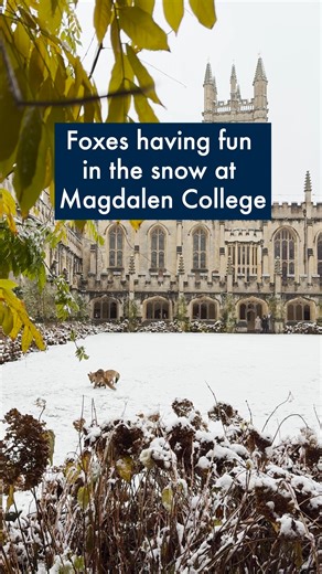 1.5M views · 66K reactions | Snow much joy at Magdalen College, Oxford 力  | Eleonora Svanberg #OxfordInSnow | University of Oxford | Facebook