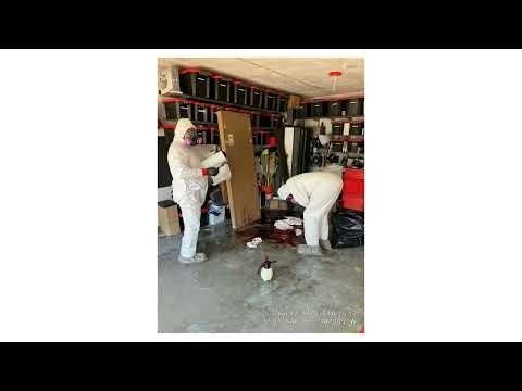 Guide to Trauma Scene Cleanup