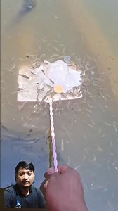 What bait should i use?#shorts #shortsvideo #trending