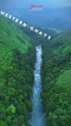 📍Western Ghats of Karnataka, India Western Ghats of Karnataka! 🌄 Known for its unmatched beauty and lush greenery, the Kuduremukha route is a must-visit. This stunning stretch from Kalasa to Karkala is pure magic. 🌿✨ . VC @mr_dronaacharya #KarnatakaTourism #WesternGhats #Karnataka [ Western Ghats, Kuduremukh, Kalasa, Monsoon] | Karnataka Tourism