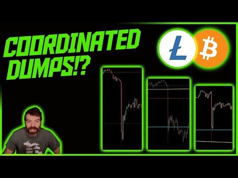 Why Does Every Cryptocurrency Dump at Exactly the Same Time!? || Dan Heilman Investing