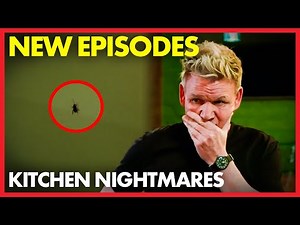 Gordon Spots A COCKROACH In The Restaurant! | NEW Season | Compilation | Kitchen Nightmares