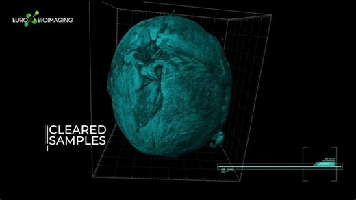 Eurobioimaging Meeting 2026 - Spanish Node | IRB Barcelona