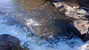 Steven Steckbauer on Reels | Facebook