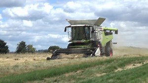 6.2K views · 338 reactions | Something special to share with you; a...