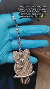 Cruelty Free Snake Shed Owl Keychain With/without a Snake Charm - Etsy UK