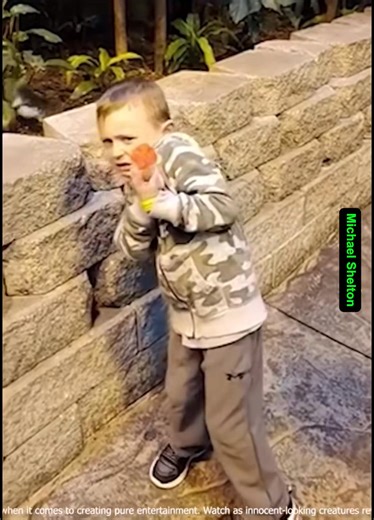 61K views · 444 reactions | Small But Wild Too Funny | 90s Kids Only | Facebook