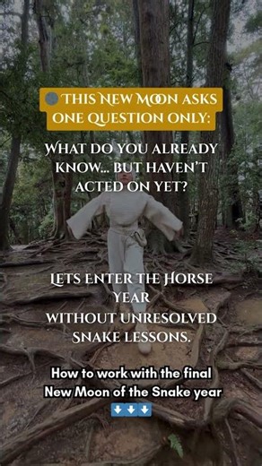 What This New Moon Is Really Asking You to Decide