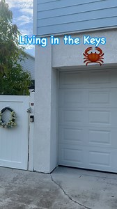3.4K reactions · 176 shares | Living in the Keys呂 #keywest #florida #keysliving #landcrab #wildlife #homedecor #funny #goodvibes #lifestyle #island #islandlife | DatGuy in Paradise | Facebook
