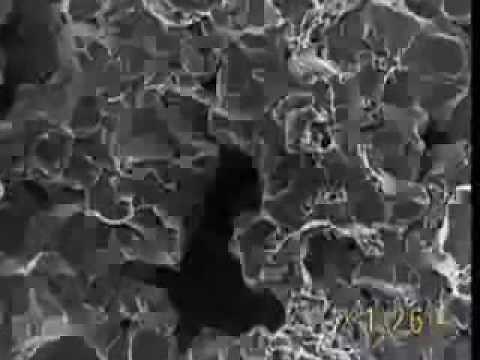 Exploring the atomic composition of steel