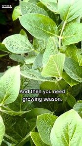 How to unlock cover crop benefits for healthy soil, and profits. 🌱 Keith Berns, co-founder of Green Cover Seed, weighs in with practical advice including three things for cover crop success, termination timing and the impact on soil moisture. Listen in: https://www.farmprogress.com/conservation-and-sustainability/how-to-unlock-cover-crop-benefits-for-healthy-soil-and-profits | Nebraska Farmer