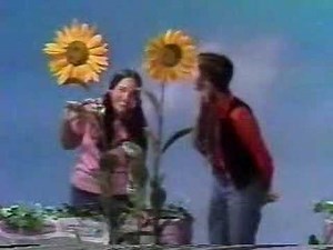 The Magic Garden Theme Song performed by us, Pure Chemistry