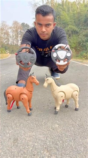 Remote control, two horses, unboxing, and testing ￼