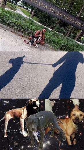 110 reactions | Full Video on YouTube | Ready Red Kennels | Facebook