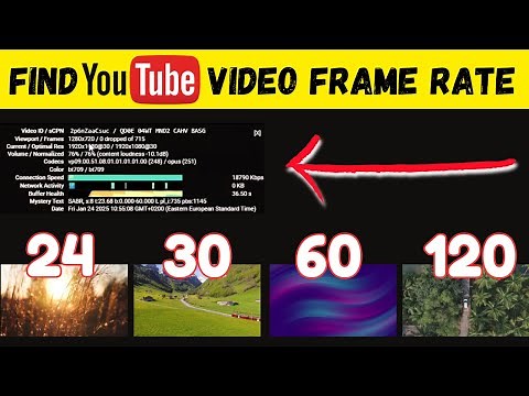 How to Find the Frame Rate of a YouTube Video | Check the FPS of any Youtube Video