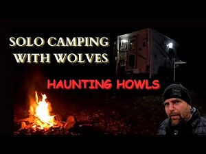 Solo Winter Camping With Wolves Close By.