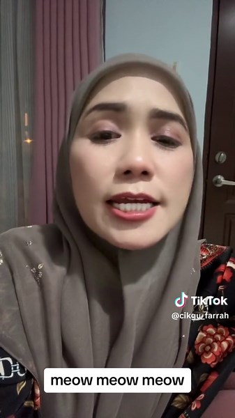 Inspirational Meow Meow Meowing Song Compilation