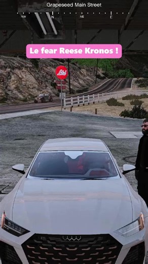 Le fear Reese Kronos ! #mllesaana #gaming #gtarp #flashback