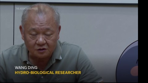 Saving the finless porpoise of China’s longest river