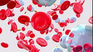 3d animation with the movement of blood components. Image of blood circulation seen from the front.