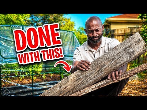 Stop using Wood Raised Beds (Do This Instead)