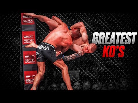 Top 10 MMA Knockouts That Broke The Internet