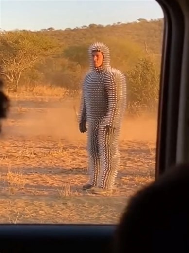 Lion Attack Fails Against a Steel Spike Suit