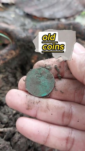 Pinpoint|Metal Detecting #bestpinpointdetector #reelsviral #metaldetecting #treasurehunt | GO finder