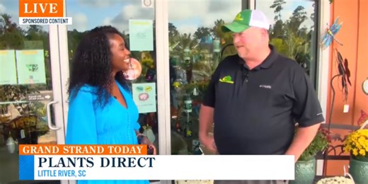 Fall feels and plant deals with Plants Direct